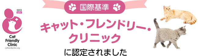 キャット・フレンドリー・クリニックに認定されました